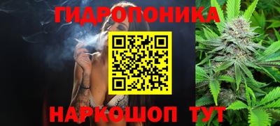 spice Аргун