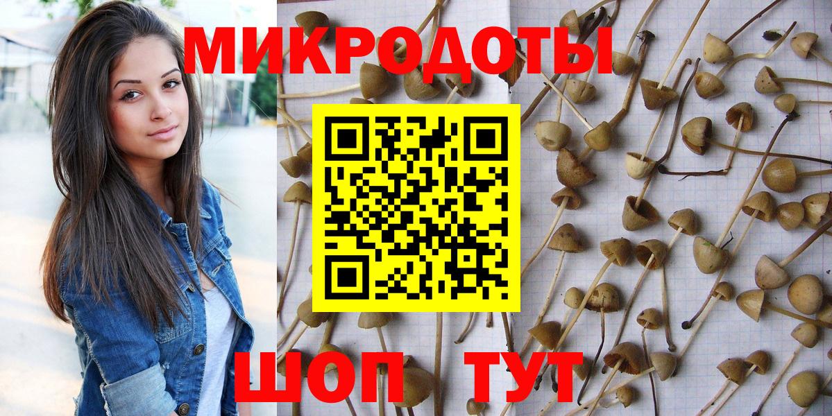 Галлюциногенные грибы Cubensis Балашиха
